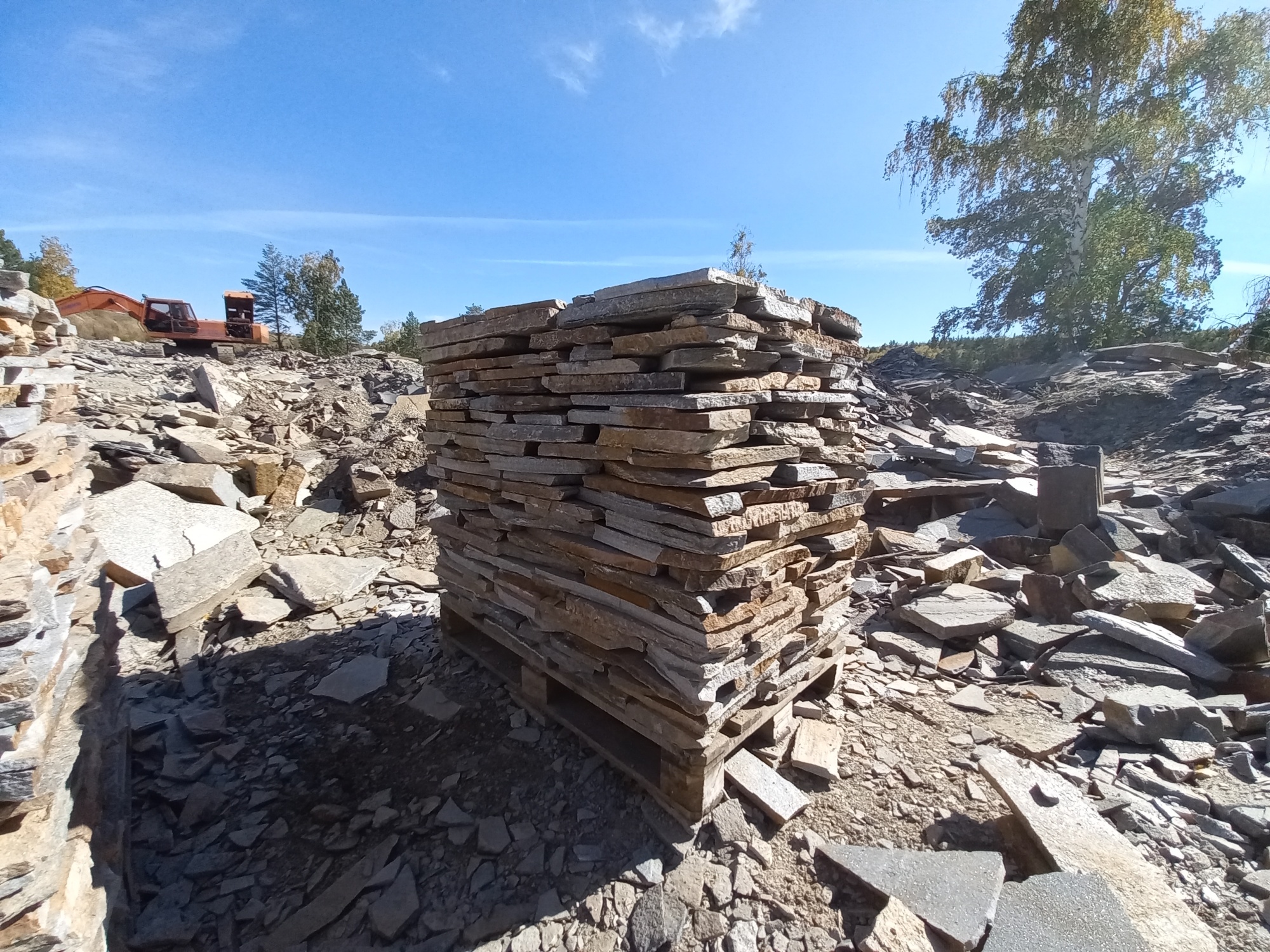 Плитняк златолит серебристый для мощения на бетон купить в Озёрах