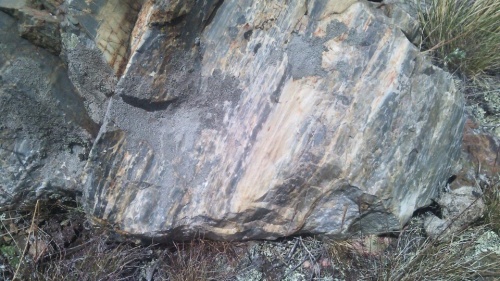 Гигантские зелёные валуны для ландшафтного дизайна весом более 5 тонн купить в Озёрах