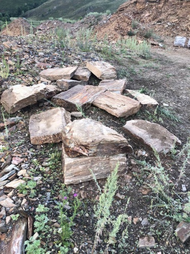 Плитняк кора дерева 50-100мм для пошаговых дорожек купить в Озёрах